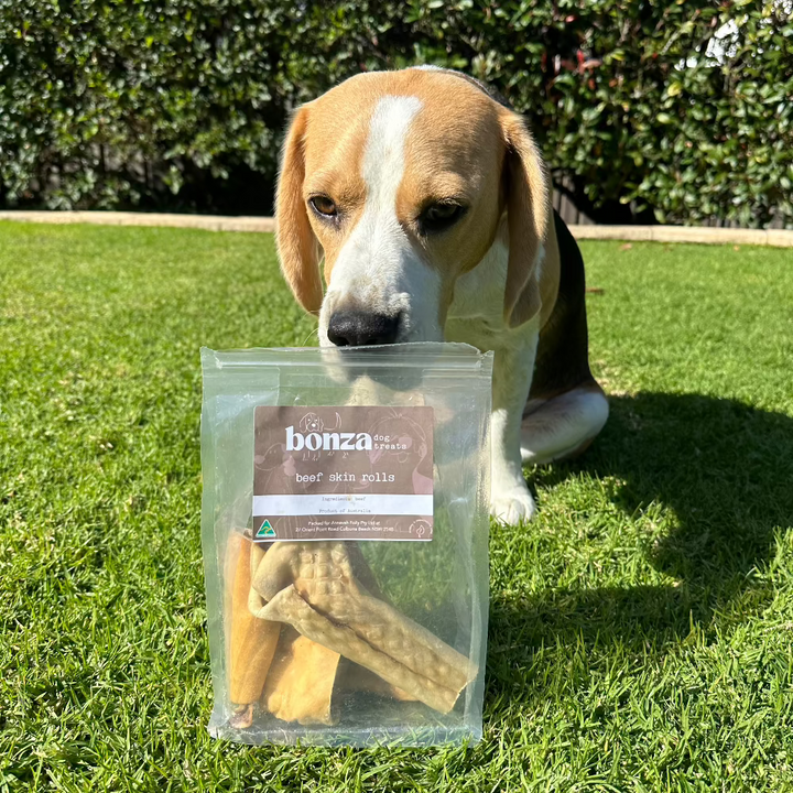 beagle on grass with pack of beef sckin roll chews Bonza Dog Treats