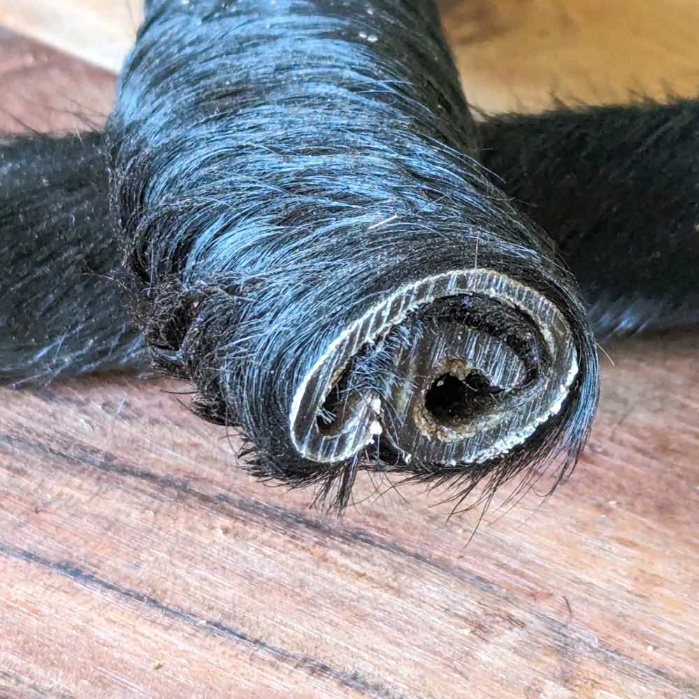 Hairy beef skin scroll showing close up of cross section Bonza Dog Treats