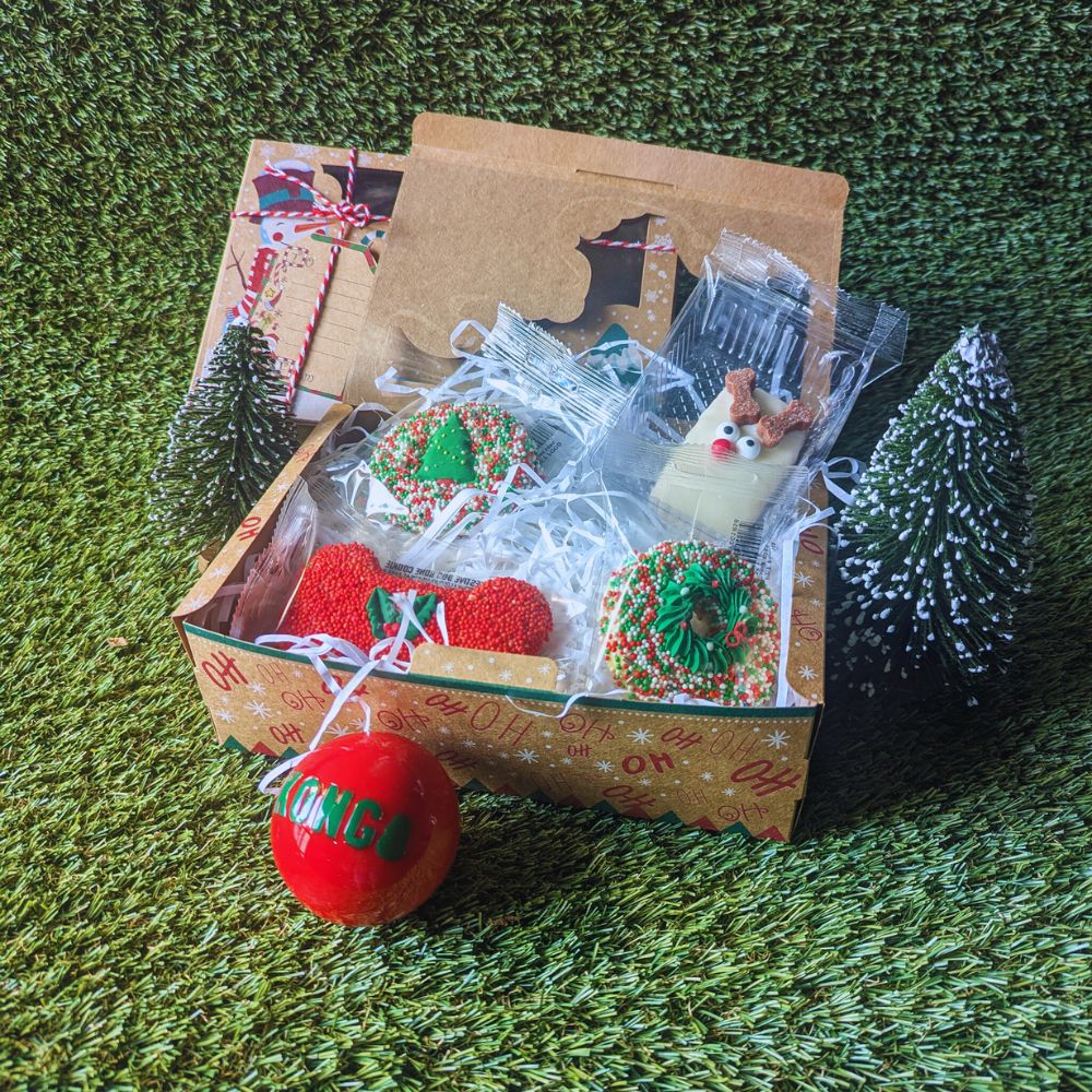 Christmas box of dog biscuits with Kong ball Bonza Dog Treats