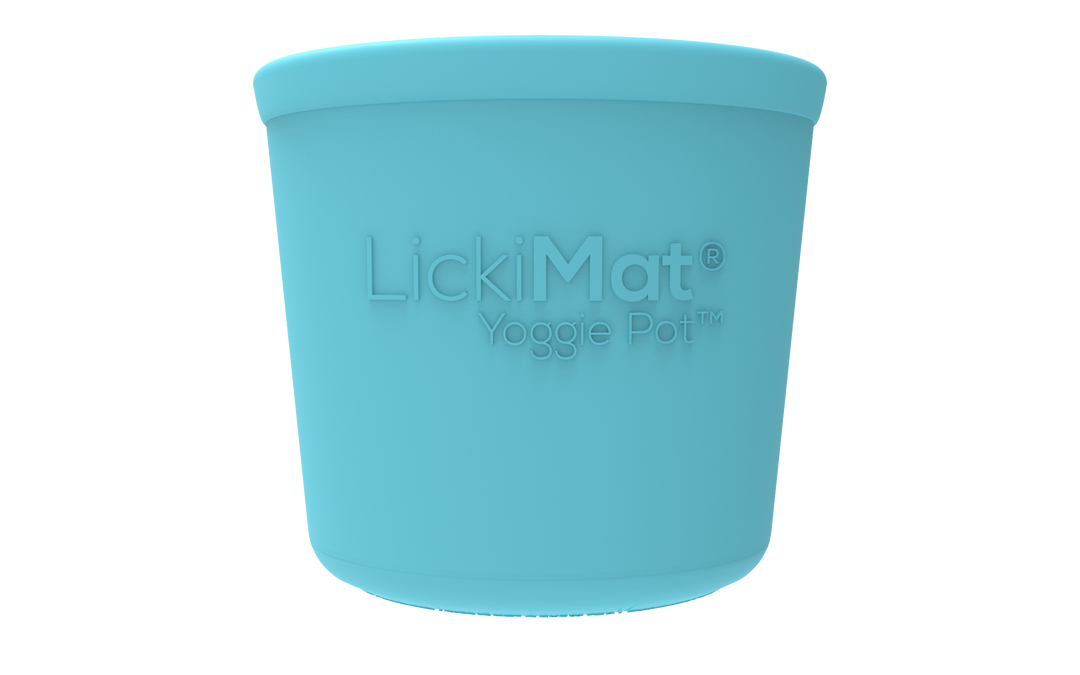 Lickimat Yoggie Pot turquoise