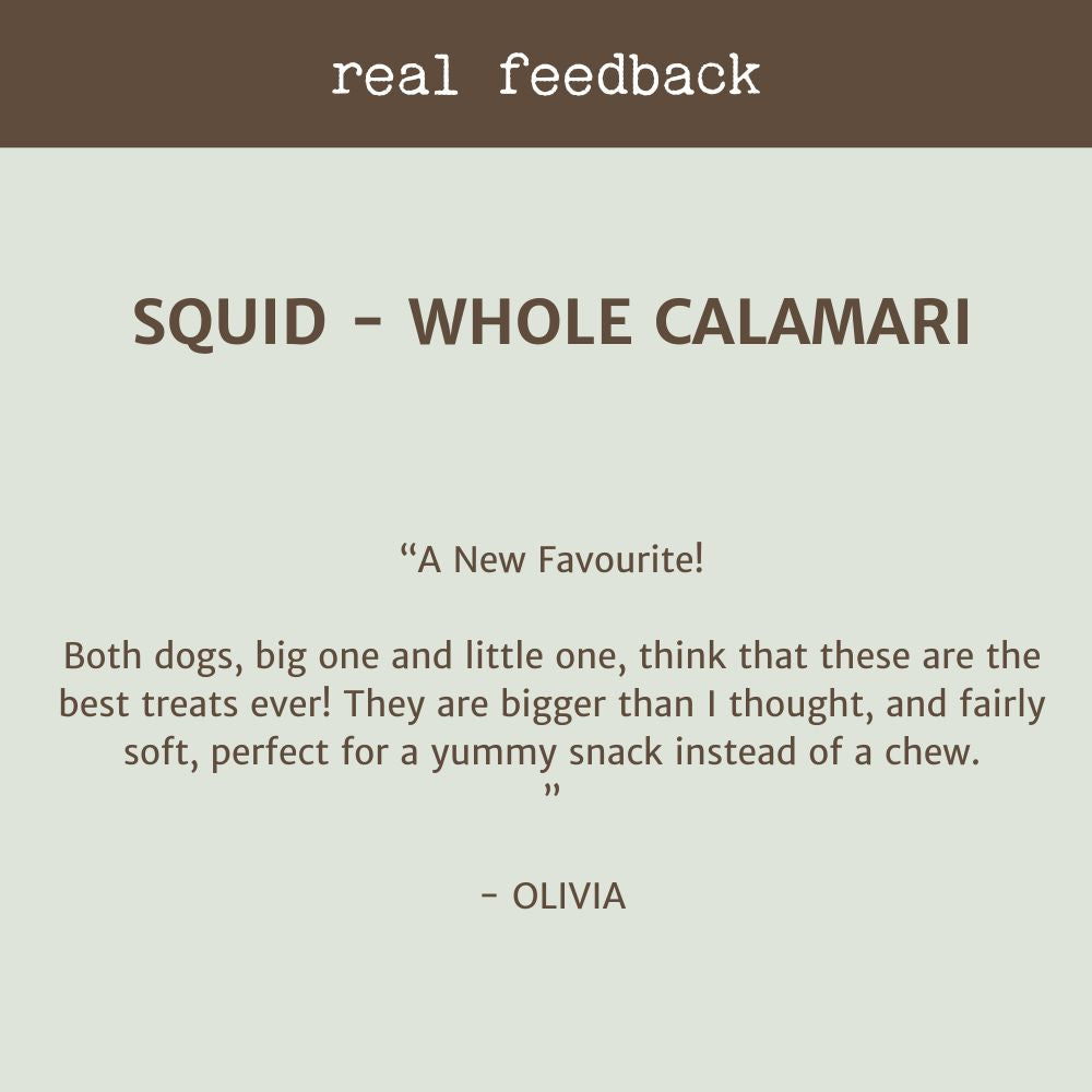 REAL FEEDBACK CUSTOMER REVIEW SQUID WHOLE CALAMAIR BONZA DOG TREATS