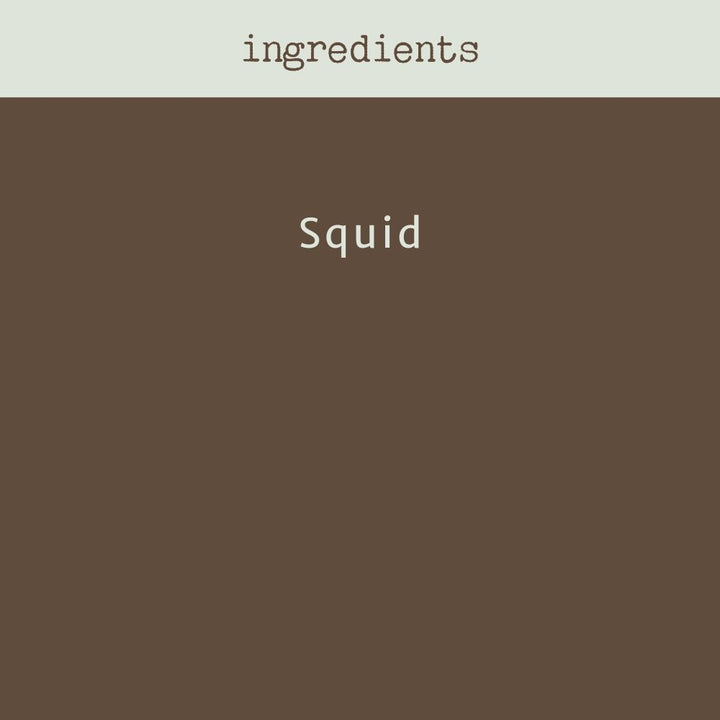 Squid - Calamari