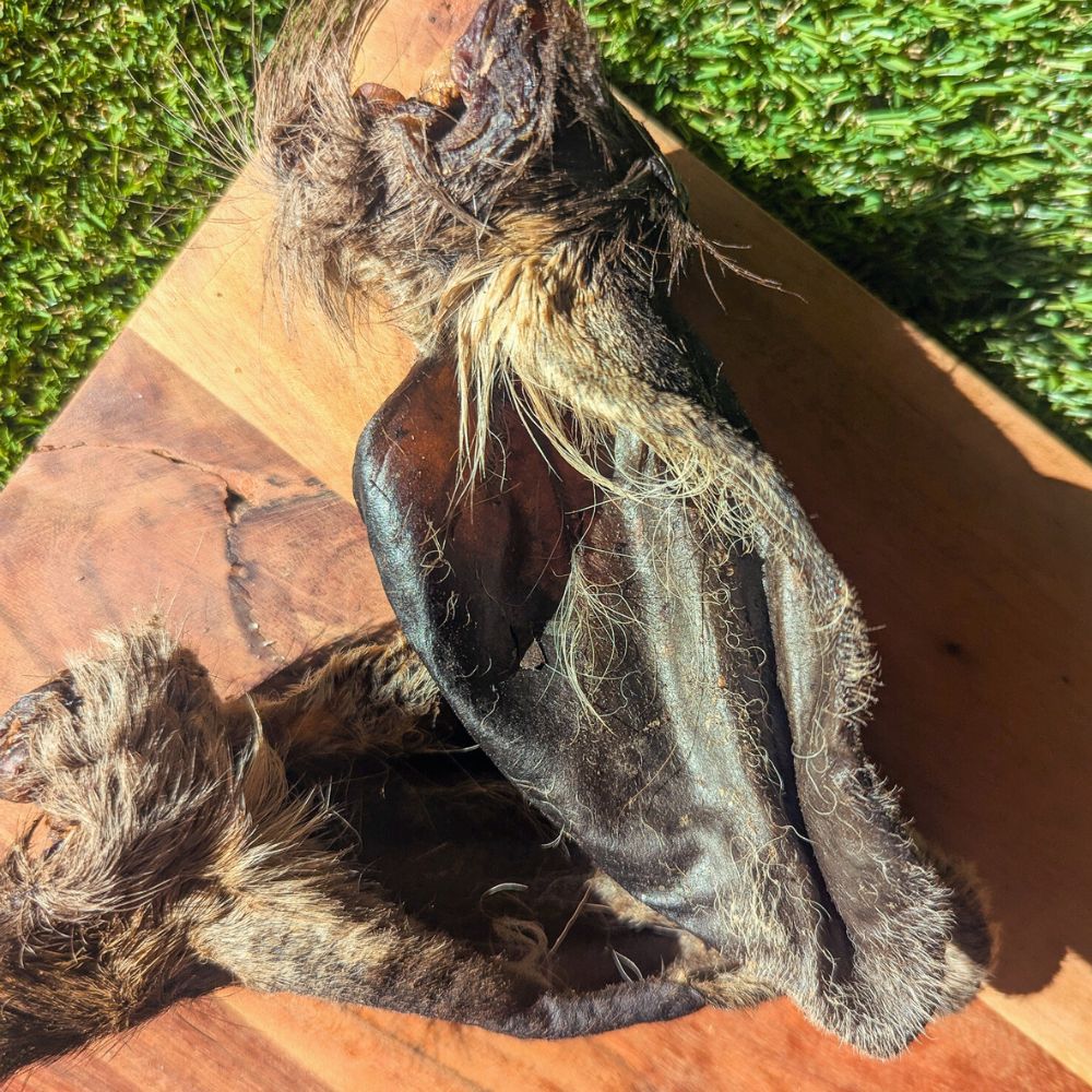 Close up Venison ears with fur hair dog treat on wooden board Bonza DOg Treats