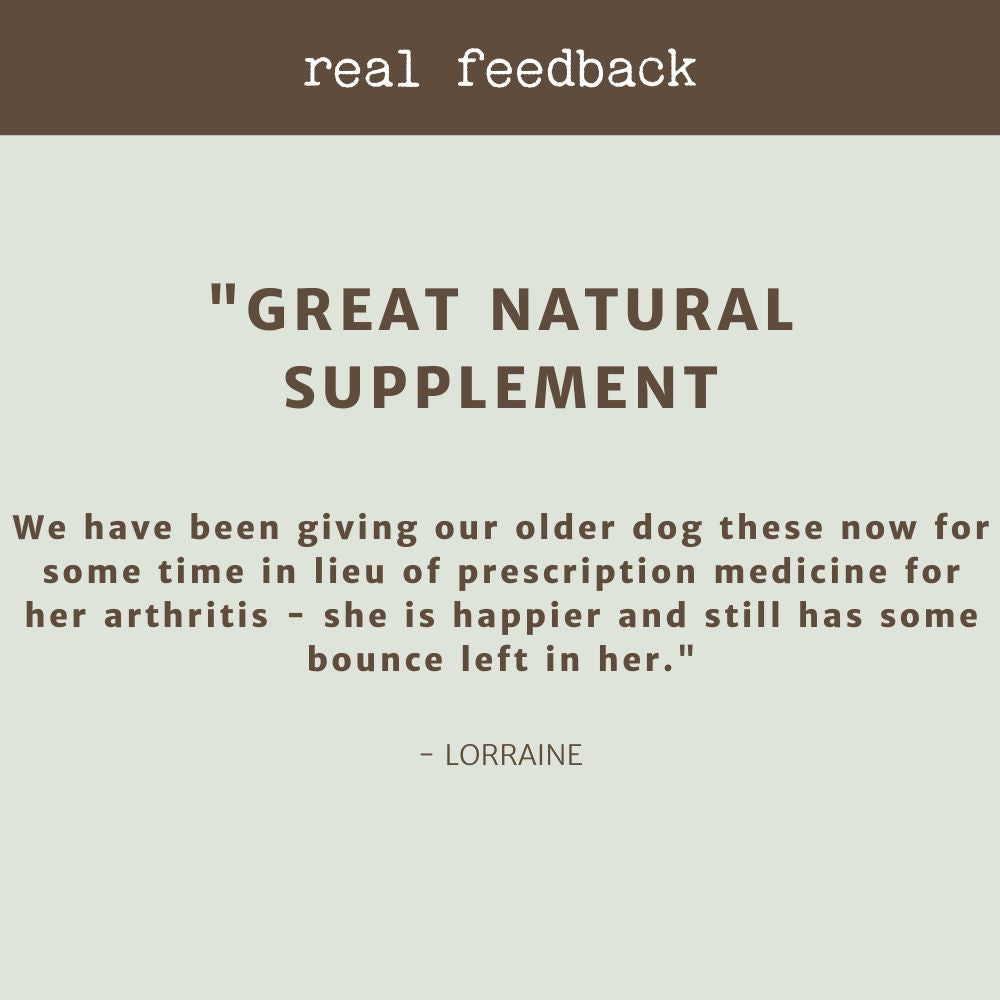 product review testimonial green lipped mussels bonza dog treats