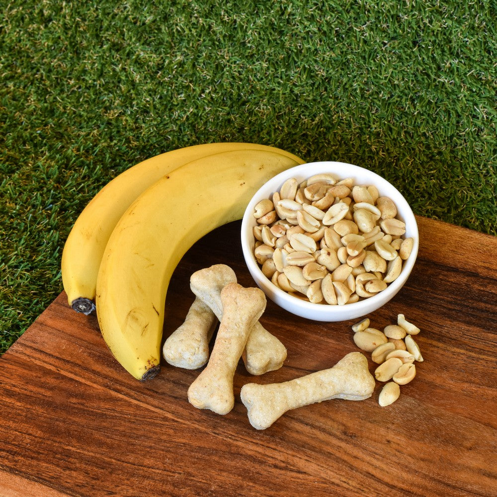 peanut butter & banana hand made gourmet australian dog treat biscuits