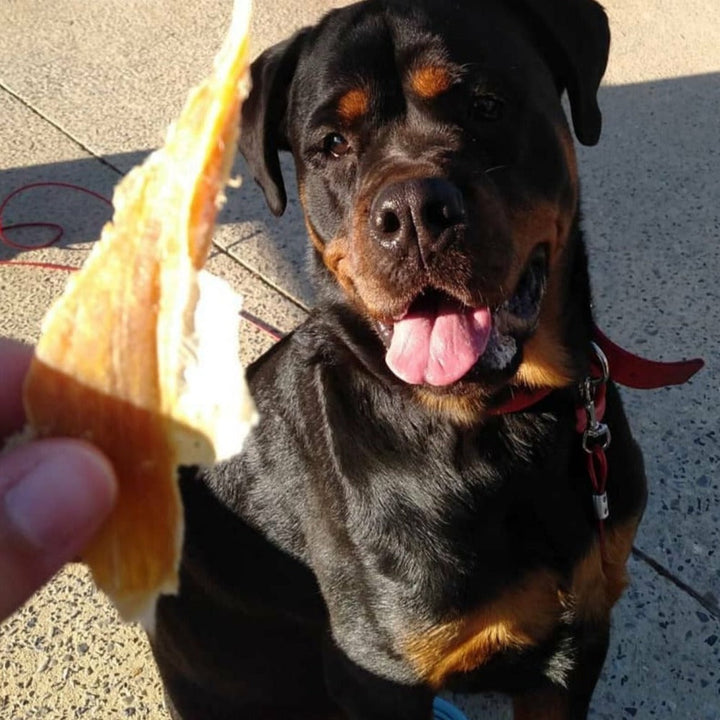 Rottie and turkey jerky Bonza Dog Treats