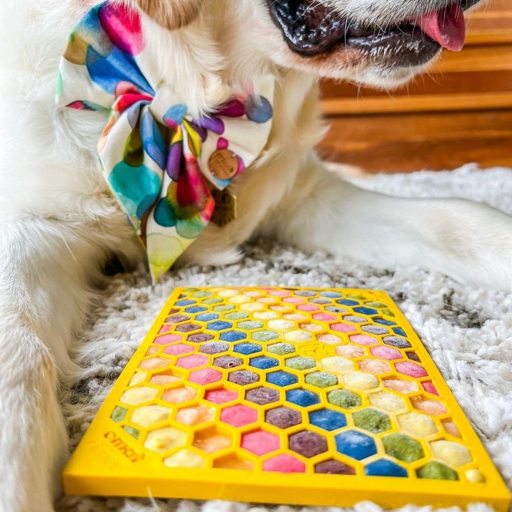 Rainbow filled Sodapup Honeycomb Emat with dog