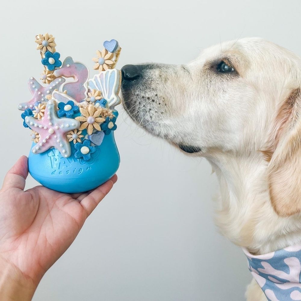 Blue West Paw Toppl enrichment feeder - filled - with dog sniffing