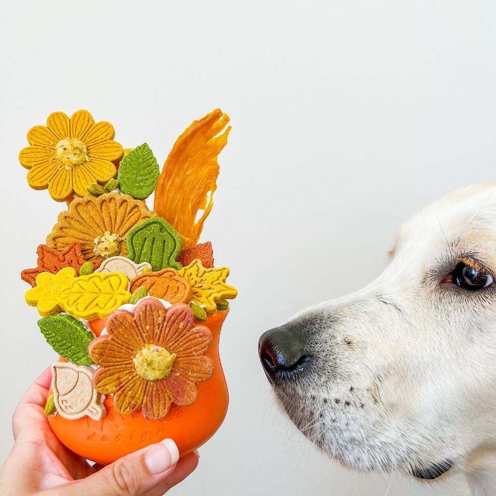 Orange West Paw Toppl enrichment feeder - filled - with dog sniffing