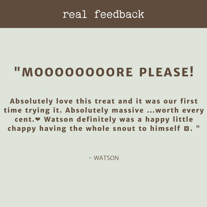 product review testimonial beef snout cow face bonza dog treats