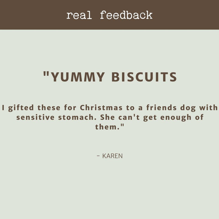 product review testimonial Bodie's biscuits gourmet handmade dog biscuits bonza dog treats 